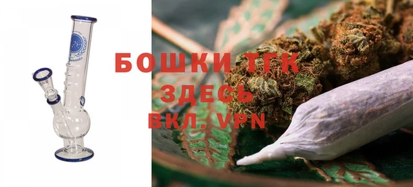 дживик Карпинск