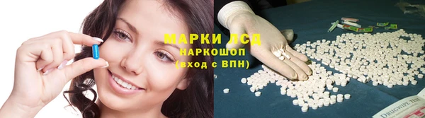 дживик Карпинск